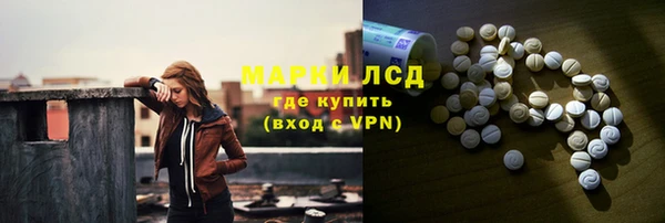 прущие грибы Алексеевка