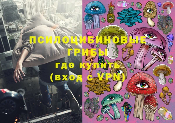 ALPHA PVP Покров