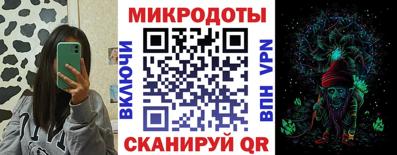 Галлюциногенные грибы Psilocybine cubensis  Боровск 